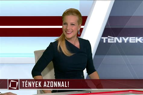 A reklámügynökségi tevékenységgel foglalkozó cég, a whitedog media kft. Mészáros Lőrinc ingatlanába jegyezte be az új cégét ...