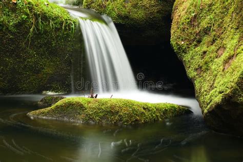 Cascade Sur Le Petit Courant De Montagne Leau En Cristal Froide Tombe