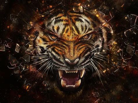 Free Download Angry Tiger Tigers Wallpaper 31737545 1920x1440 For