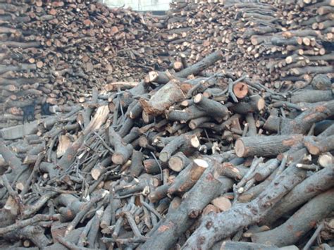 Varanasi Wood Piles Near The Burning Ghat Photo