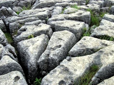 Limestone Pavements Free Zimsec And Cambridge Revision Notes