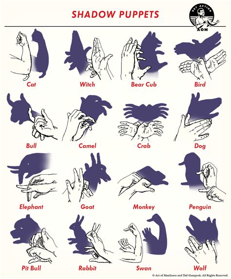How To Make 16 Shadow Puppets The Art Of Manliness