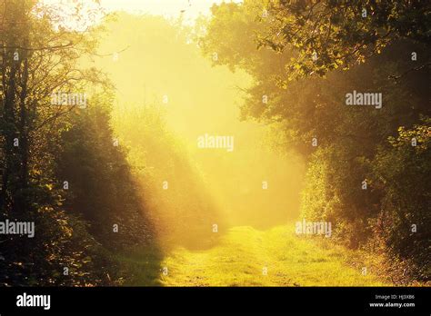Peaceful Sun Rays Hi Res Stock Photography And Images Alamy