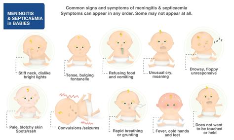 Meningitis Far More Than A Pain In The Neck Dr Martin Saweirs