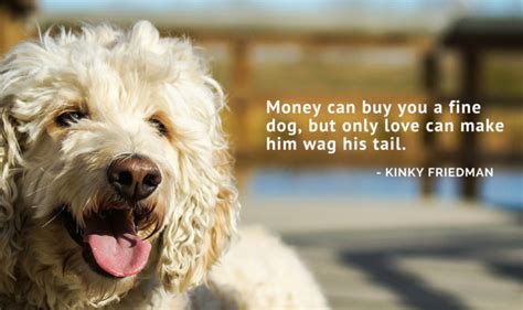 75 Of The Best Dog Inspired Quotes Puppy Leaks