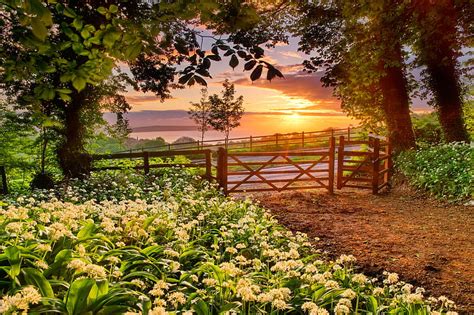 1920x1080px 1080p Free Download Sunrise In Countryside Fence Glow
