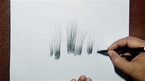 How To Draw Realistic Grass With Sketch Pen Youtube