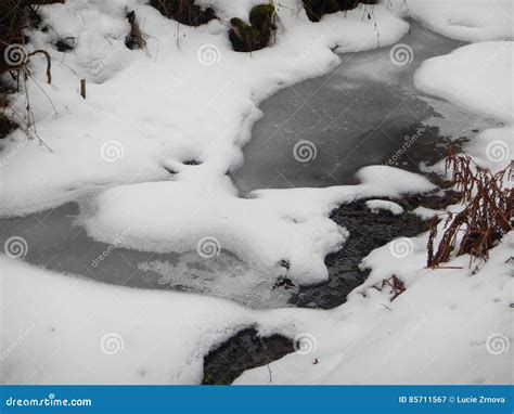 Frozen Creek Covered With Ice In Winter Stock Image Image Of Blue