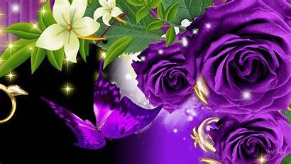 Purple Butterfly Roses Background Wallpapers Flowers Drawn