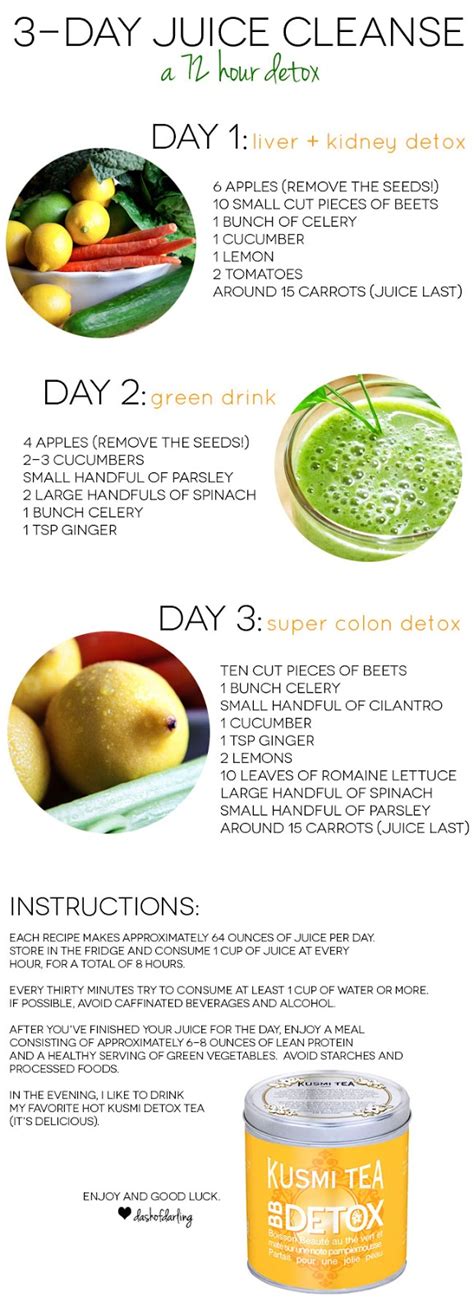 Nutribullet 3 Day Detox Recipes Blog Dandk
