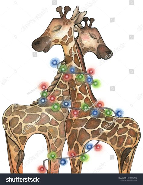 A Pair Of Lovers Cute Christmas Watercolor Giraffes In The Garland