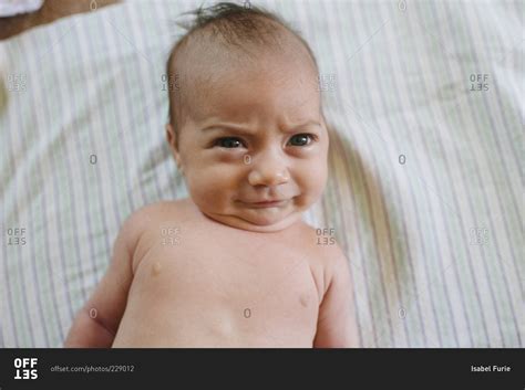 A Newborn Baby Wrinkles Its Eyebrows Stock Photo Offset