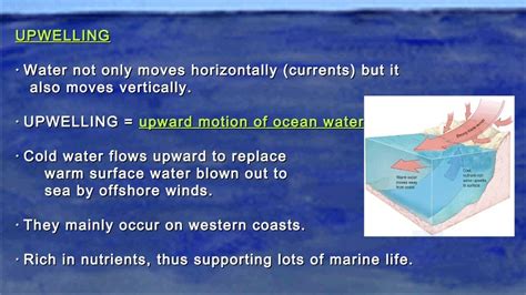 8 Oceanography Ppt