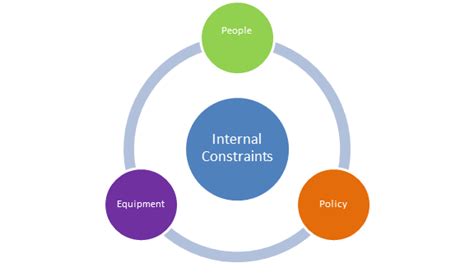 A person's unique mental and physical abilities that affect their movement; Theory of Constraints—Types of Constraints (internal ...