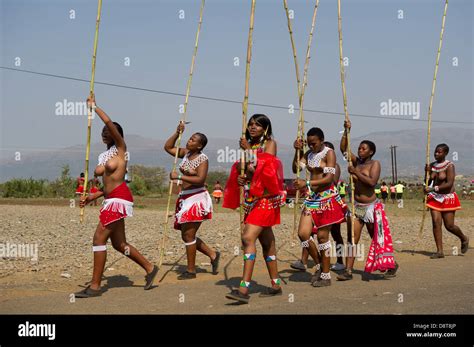 Zulu Reed Dance Stockfotos Und Bilder Kaufen Seite 2 Alamy