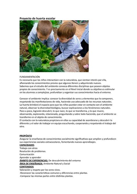 Introducir 85 Imagen Modelo De Proyecto De Huerta Organica Abzlocalmx