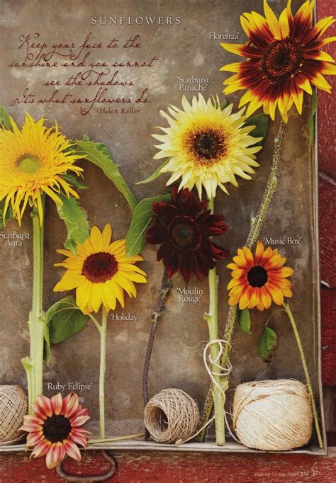 Vintage Inspiration Friday 1 Sunflowers Sunflowers And Daisies