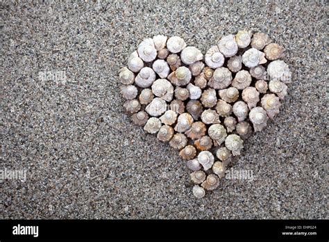 Sea Shells Heart Stock Photo Alamy