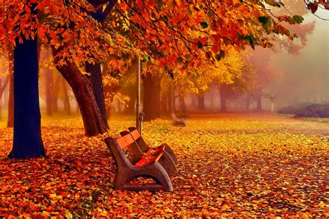 November Background ·① Download Free Awesome High Resolution