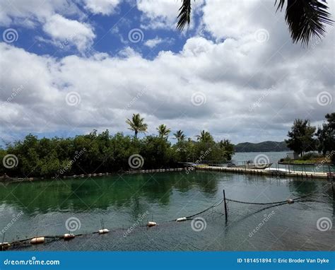 Shark Lagoon At Hawaii Institute Of Marine Biology Stock Photo Image