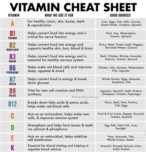 vitamins cheat sheet coolguides health facts health health and nutrition