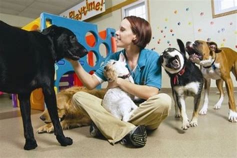 Best friends pet hotel is located at united states, windsor, 1379 route 130. Best Friend's HOME Builds An Albama Dog Mansion That Could ...