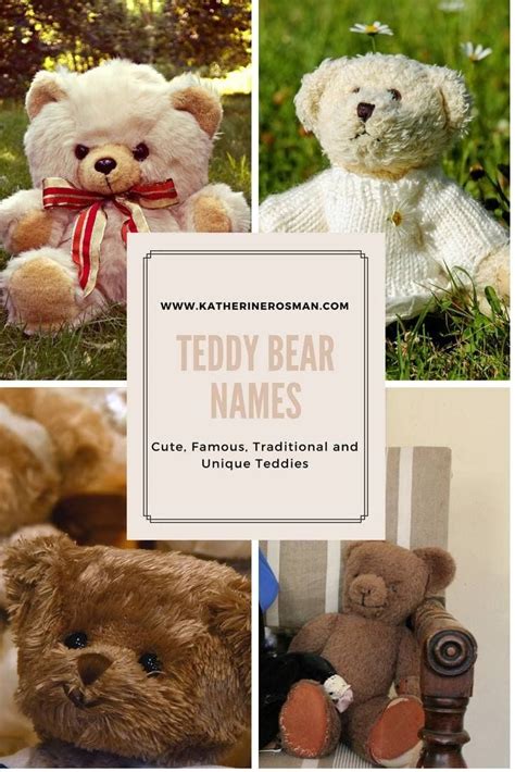 Name Ideas For Teddy Bears And Other Stuffed Animals We Cover Famous