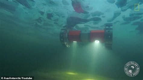 The Underwater Rover Bruie That Will Explore Jupiters Moon Europa Was