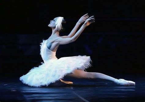 Ulyana Lopatkina Mariinsky Swan Lake Costumes Ballet Beautiful