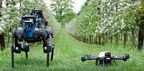 5 Benefits Of Bringing Robots In The Agricultural Sector Jeju Media
