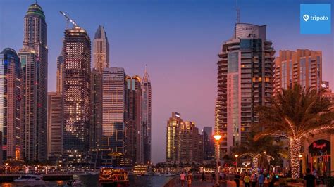 Experience The Gem Of The Middle East With This Dazzling Dubai Tour