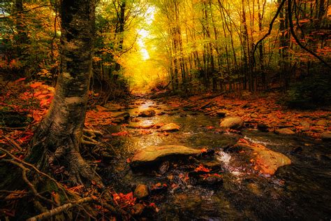 Photo Pictures Of The River Autumn · Free Photo