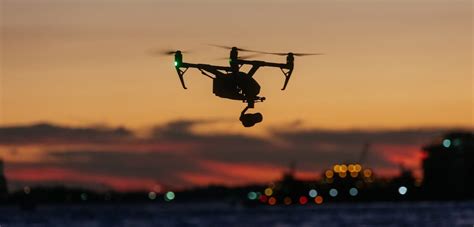 A bunny or a bunny rabbit is a child's word for a rabbit. What Does Drone Mean In Spanish - Drone HD Wallpaper ...