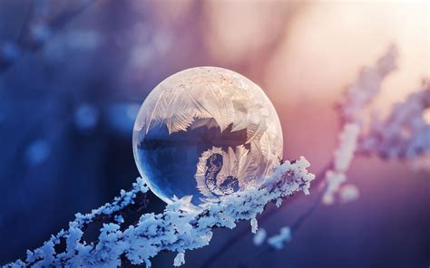 Download 1680x1050 Frozen Bubble Winter Photography Wallpapers For
