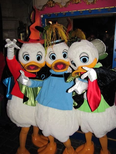 Huey Dewey Louie Stuffed Animals Classbcampervanrental