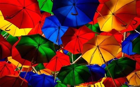 Umbrella 5k Retina Ultra Hd Wallpaper Background Image 6016x4004