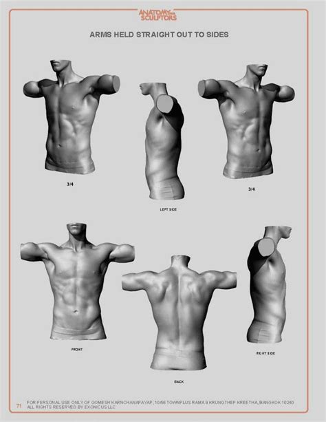 Anatomy For Sculptors Photos Vk