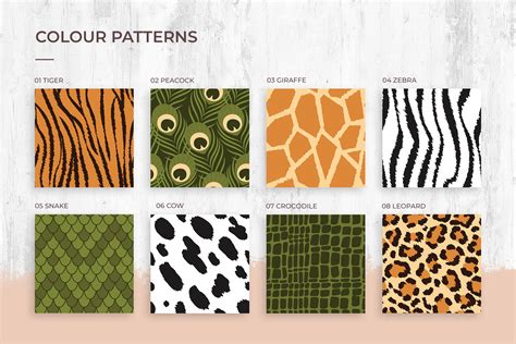 Vector Animal Skin Patterns Designercandies