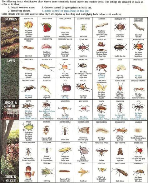 Insect Identification Chart Insect Identification Garden Pests