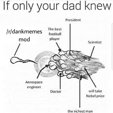 Hoping To End Up In A Mans Ass Rdankmemes
