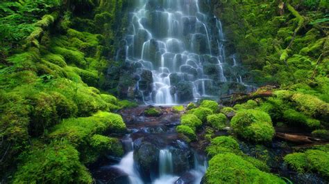 Tropical Rainforest Waterfalls Waterfall Wallpaper Waterfall