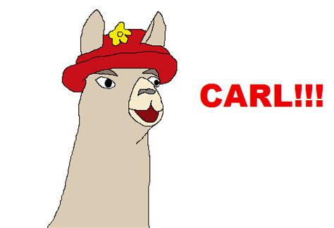 Gigloqic Llamas With Hats Carl