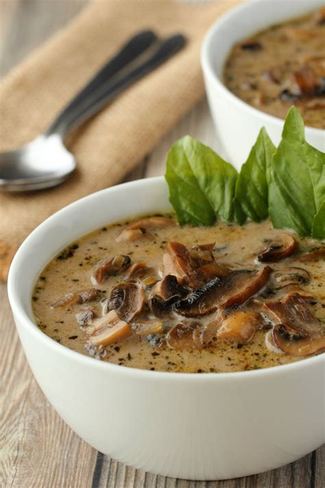 Vitamix Cream Of Mushroom Soup Recipe All Mushroom Info