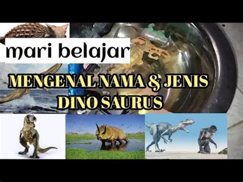 Belajar Mengenal Nama Dan Jenis Dino Saurus Dinosaurusviral