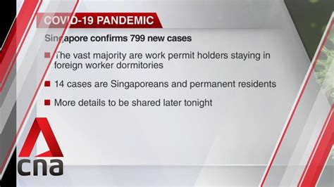 Find out how to bring pass holders into singapore. Singapore reports 799 new COVID-19 cases - YouTube