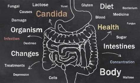 Signs Of Candida Overgrowth And How To Treat It Reliablerxpharmacy