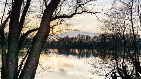Landscape With Lake Surrounded By Trees At Sunset Stock Image Image
