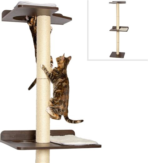 the 10 best cat climbing ladder home gadgets