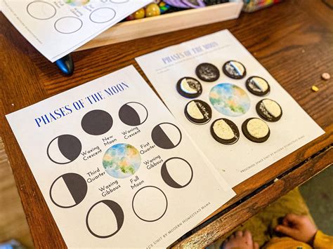 Moon Phases Oreo Worksheet For Preschoolers