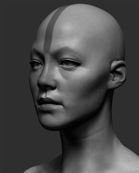 Artstation Female Bust V2 Niyazi Selimoglu Head Anatomy Face Anatomy Anatomy Sculpture